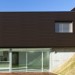 Фасадная панель из ДПК WOODVEX Венге купить в Белгороде