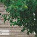 Сайдинг Ю-Пласт TIMBERBLOCK Пихта (Тимберблок) Cахалинская купить в Белгороде